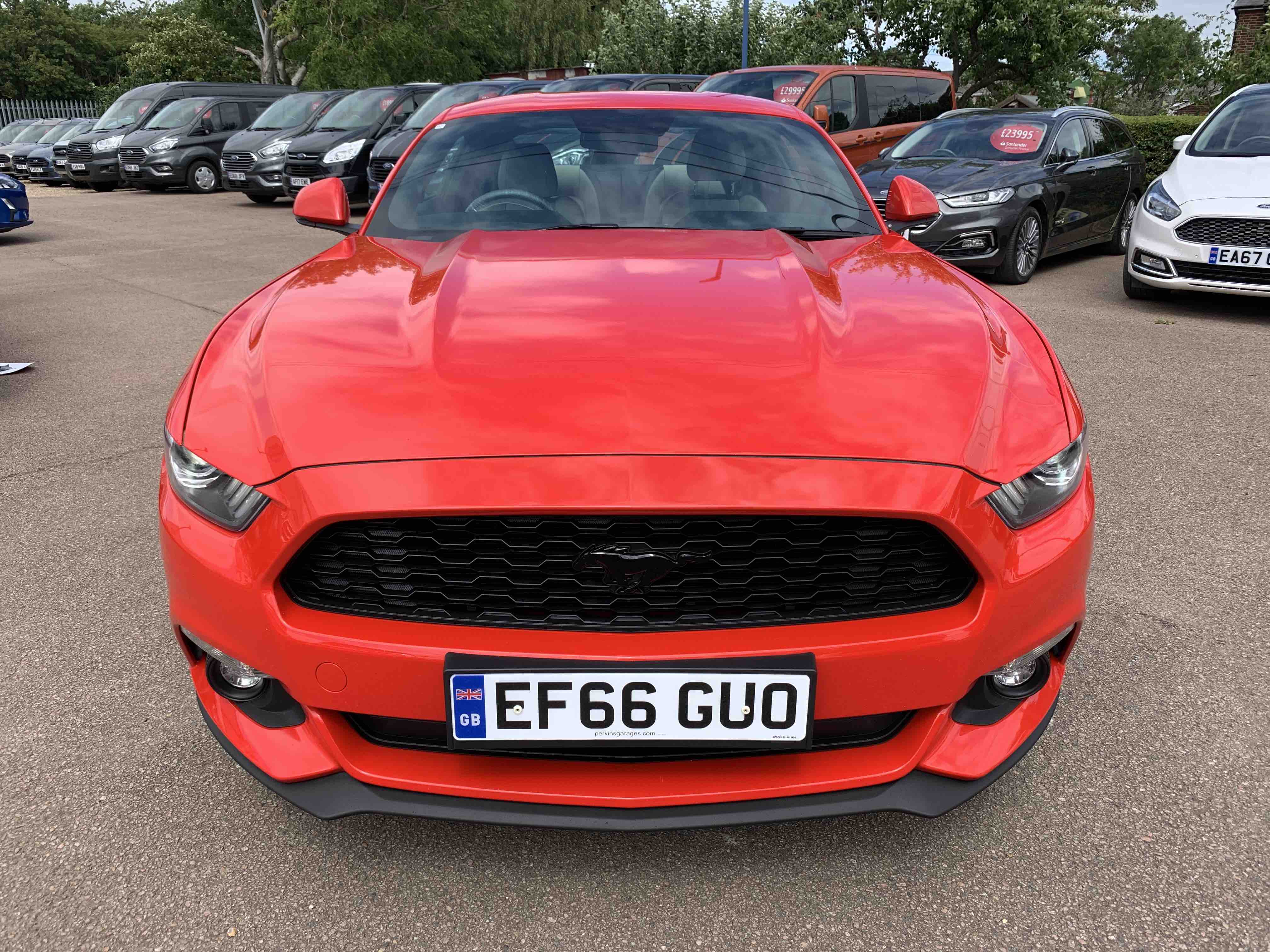 Mustang for sale Chelmsford